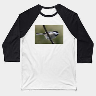 Black-Capped Chickadee Baseball T-Shirt